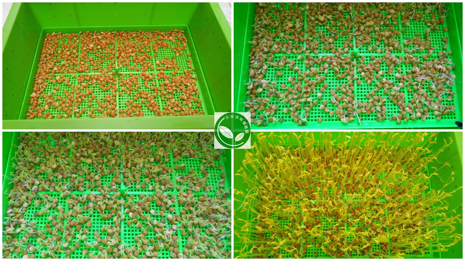 ,,󨧮Ʋz,󨧭,i,󨧥\,,󨧺ش,󨧭̶R,󨧪\